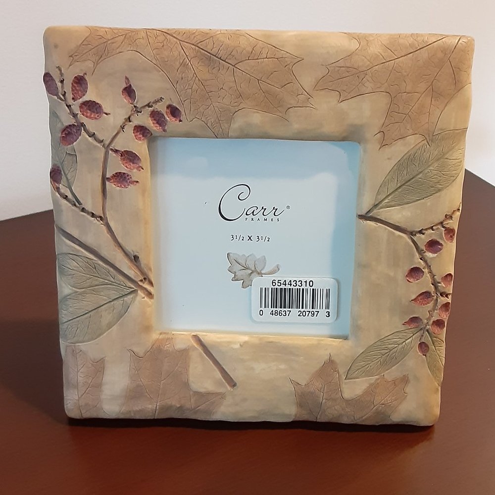 CARR "Natural Wonders" NWT square picture frame